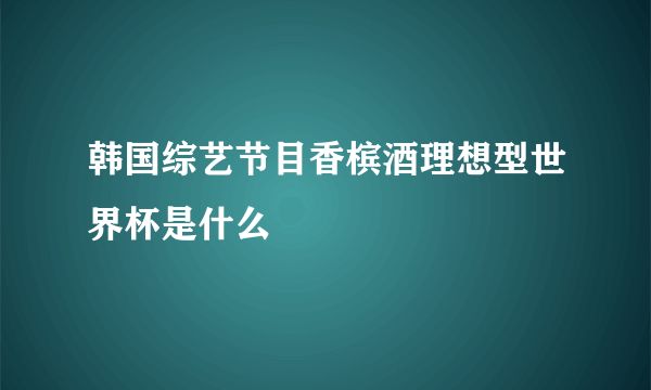 韩国综艺节目香槟酒理想型世界杯是什么