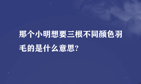 那个小明想要三根不同颜色羽毛的是什么意思?