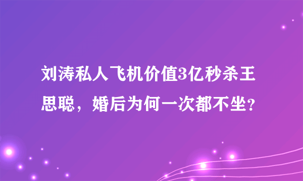 刘涛私人飞机价值3亿秒杀王思聪，婚后为何一次都不坐？