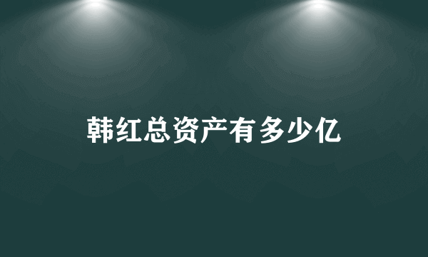 韩红总资产有多少亿