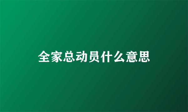 全家总动员什么意思