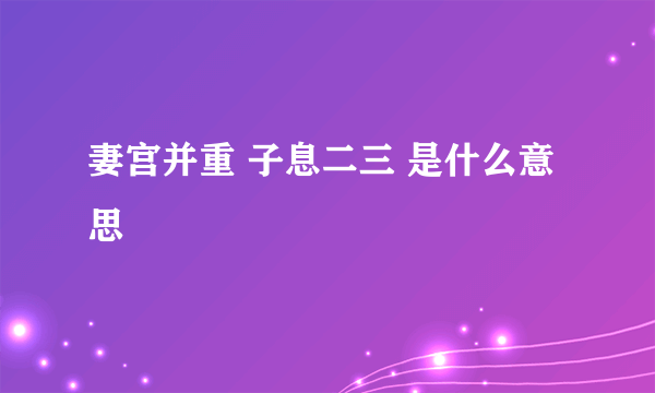 妻宫并重 子息二三 是什么意思