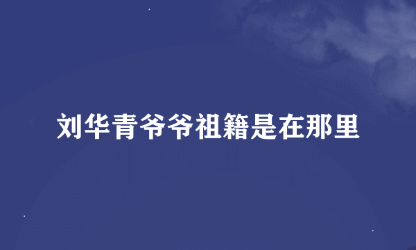 刘华青爷爷祖籍是在那里