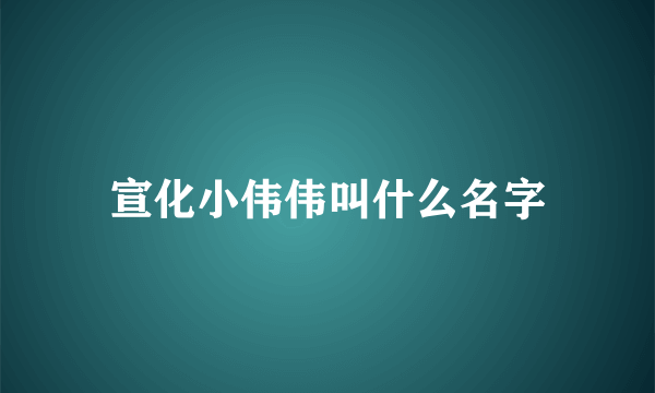 宣化小伟伟叫什么名字