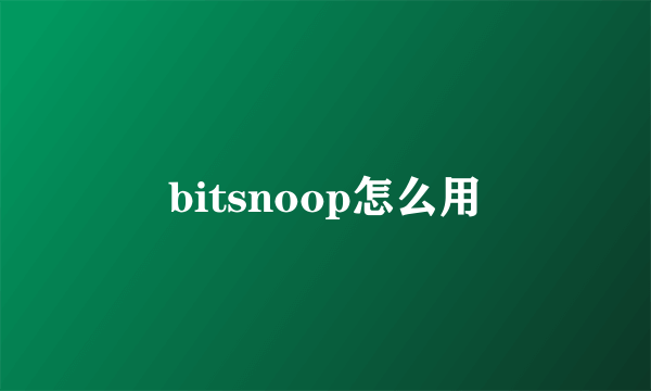 bitsnoop怎么用