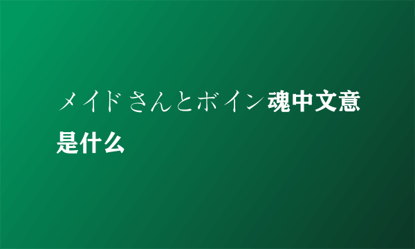 メイドさんとボイン魂中文意是什么