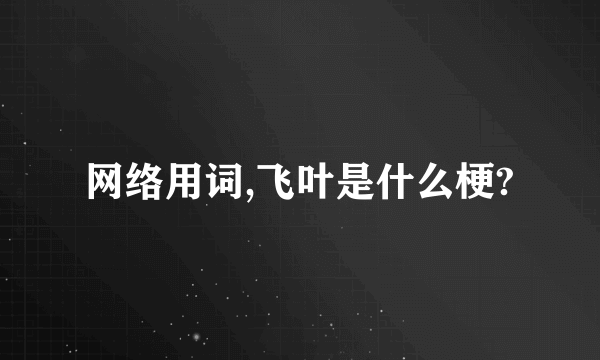 网络用词,飞叶是什么梗?