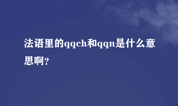 法语里的qqch和qqn是什么意思啊？