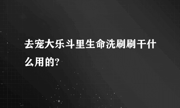 去宠大乐斗里生命洗刷刷干什么用的?