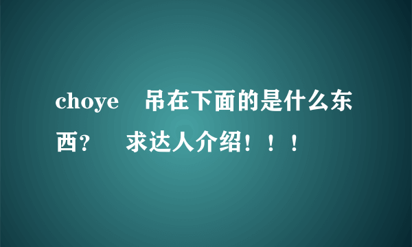 choye 吊在下面的是什么东西？ 求达人介绍！！！