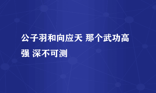 公子羽和向应天 那个武功高强 深不可测