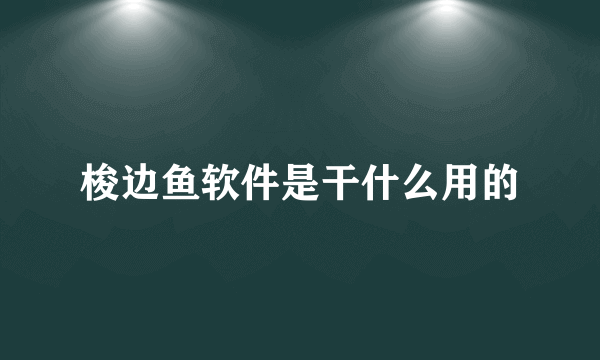 梭边鱼软件是干什么用的