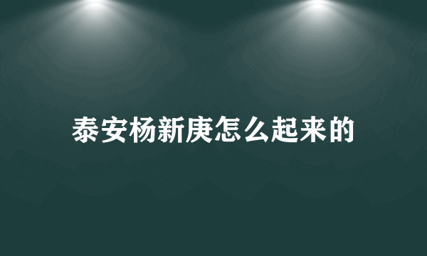 泰安杨新庚怎么起来的