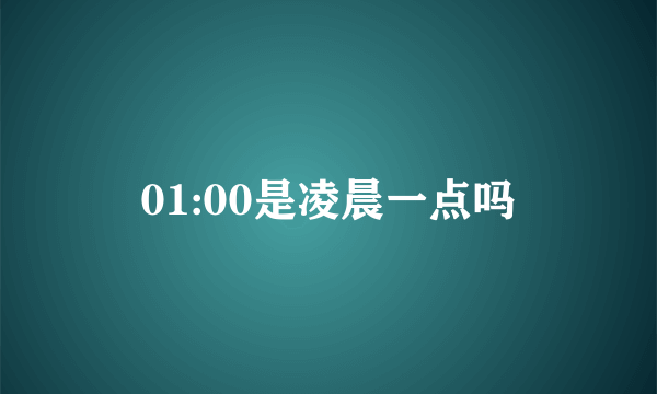 01:00是凌晨一点吗