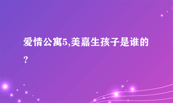 爱情公寓5,美嘉生孩子是谁的？