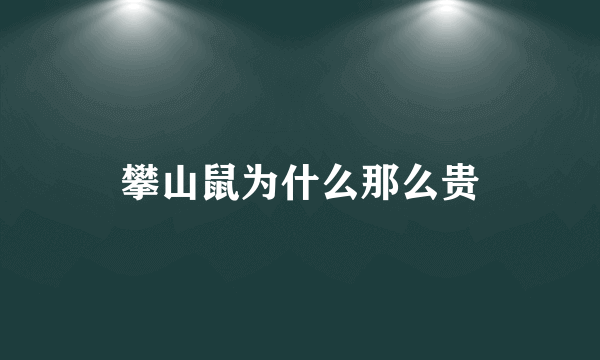 攀山鼠为什么那么贵