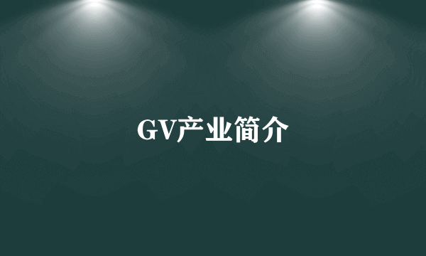 GV产业简介