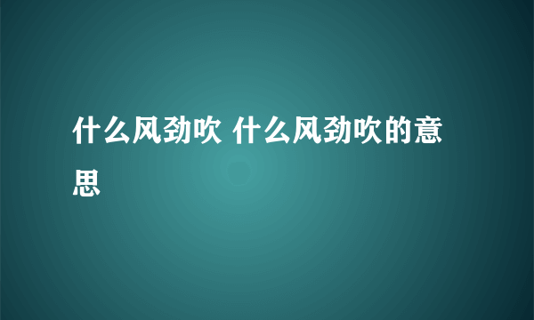 什么风劲吹 什么风劲吹的意思