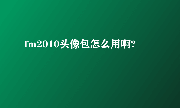 fm2010头像包怎么用啊?