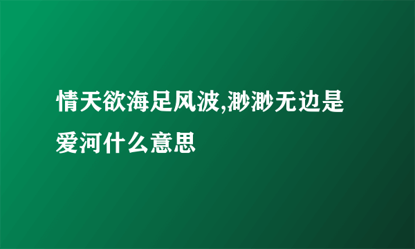 情天欲海足风波,渺渺无边是爱河什么意思