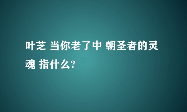 叶芝 当你老了中 朝圣者的灵魂 指什么?