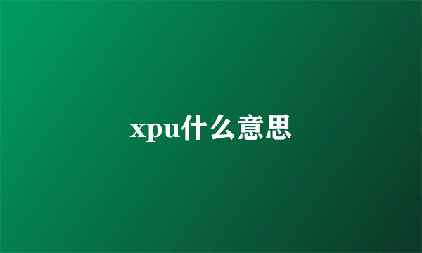 xpu什么意思