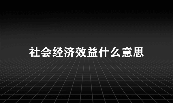 社会经济效益什么意思