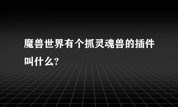 魔兽世界有个抓灵魂兽的插件叫什么?