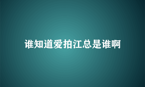 谁知道爱拍江总是谁啊