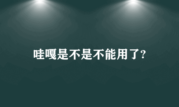 哇嘎是不是不能用了?