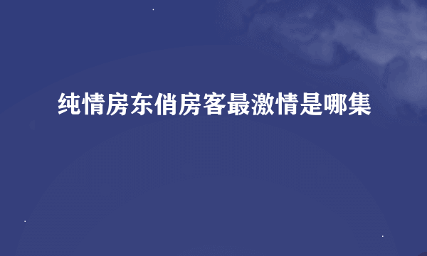 纯情房东俏房客最激情是哪集