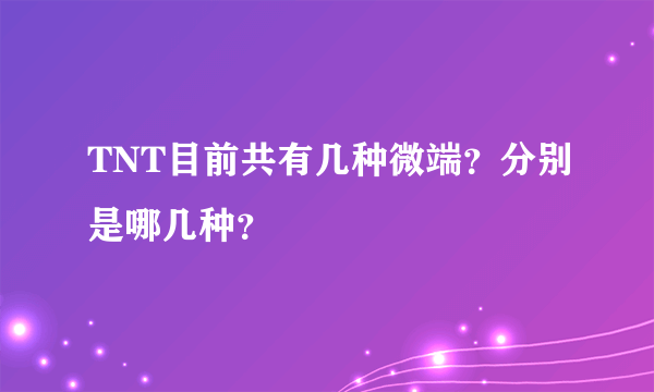 TNT目前共有几种微端？分别是哪几种？